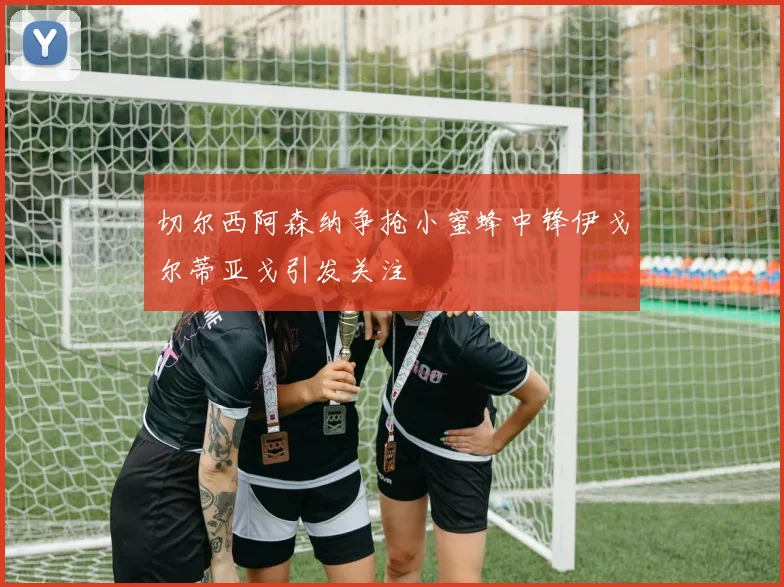 切尔西阿森纳争抢小蜜蜂中锋伊戈尔蒂亚戈引发关注